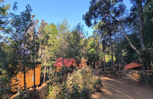 San Jose del Pacifico Ski Chalet | Cabañas en el Bosque de San José del Pacífico 5