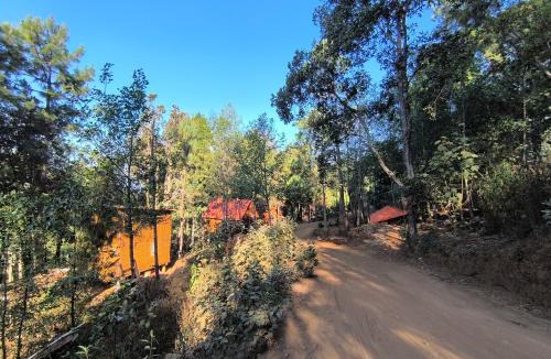 San Jose del Pacifico Ski Chalet | Cabañas en el Bosque de San José del Pacífico 5