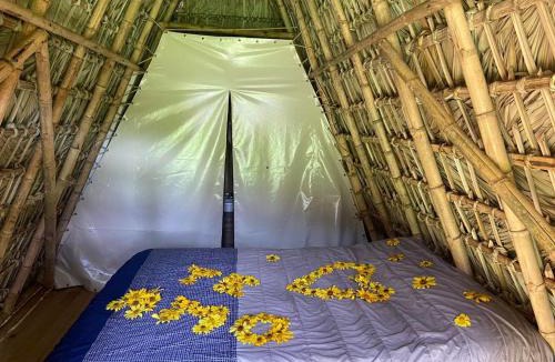 San Miguel Regla Hotel | Cabañas Green Life, Huasca de Ocampo