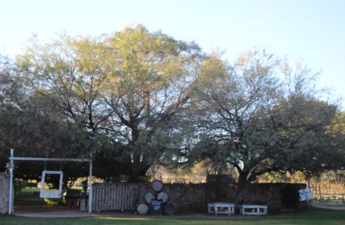 Pabellon de Arteaga Other | Cabañas Hacienda de Letras