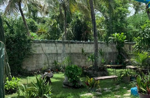 Cozumel Cabin | Cabin with Satellite Internet, Swimming Pool and Bike