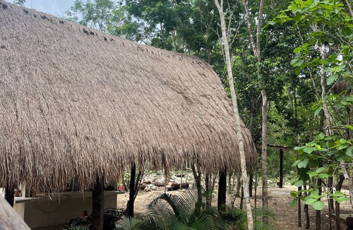 Ek Balam Village Cabin | Cabins in the middle of the Mayan jungle in Tulum with cenote type pool