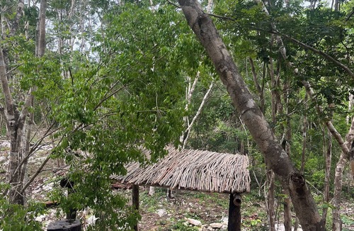 Ek Balam Village Cabin | Cabins in the middle of the Mayan jungle in Tulum with cenote type pool