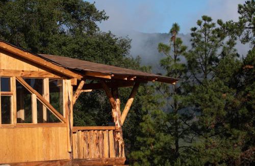 Tlaxcala Other | Canto del Bosque Santuario de las luciernagas
