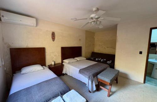 Progreso Municipality House | Casa Bugambilia Progreso #4