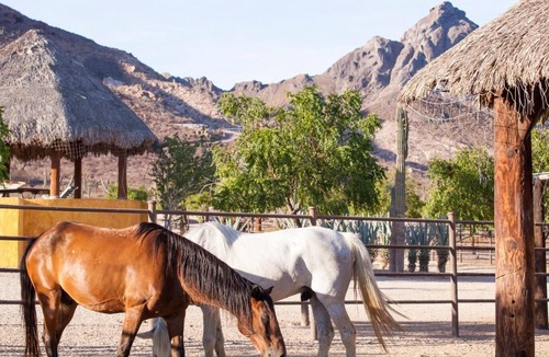 Pichilingue House | Casa Caballos at Rancho San Lorenzo. All inclusive!