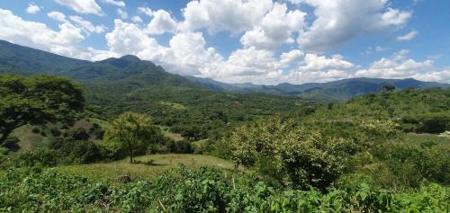 Malinalco Cabin | Casa Catonalco