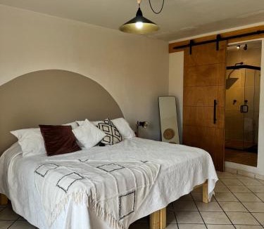 Lagos de Moreno Apartment | CASA DAMIANA