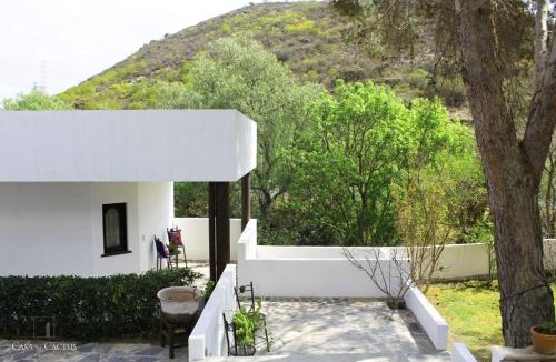 Bernal House | Casa de Cactus