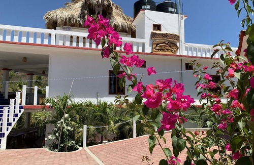 Puerto Angel Apartment | Casa El Delfin, 1st Floor - Main Level- Estacahuite