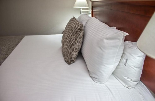 Celaya Hotel | Casa Inn Business Hotel Celaya