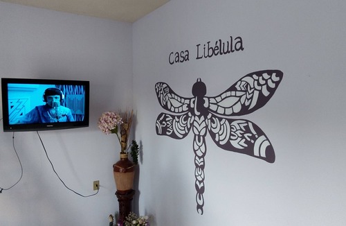 Centro de la Ciudad Apartment | Casa Libélula