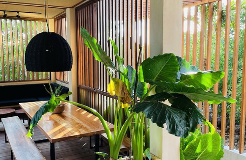 Isla Holbox Villa | Casa Milu · Tropical Boho Villa with Pool