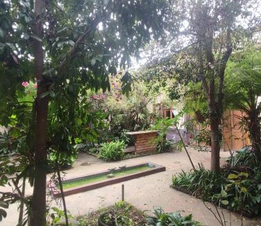 Coatepec House | Casa Morfo Cultura