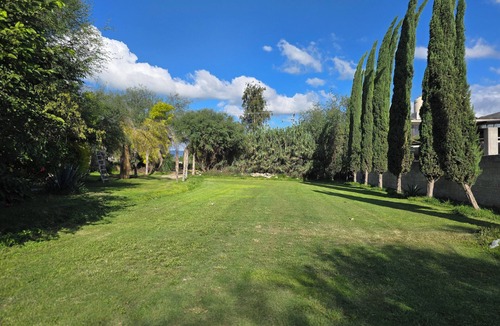 Ixmiquilpan House | Casa Olivo with double height living room, surrounded by a large garden.
