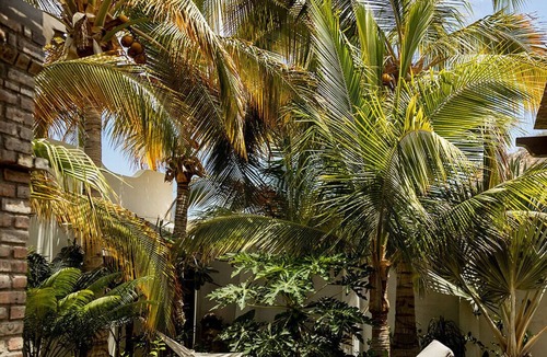 El Sargento House | CASACORAZONmx “Oasis” 2bd Tropical Beachfront - Amazing Views! 325.00n