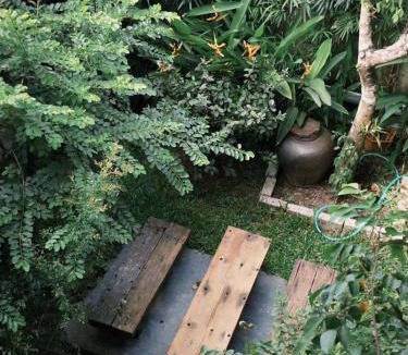 Thuy Xuan Hotel | Cat Bungalow Stay