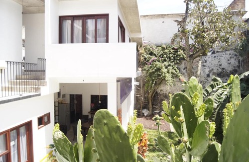 Xalapa Hostel | Catre de mi corazón