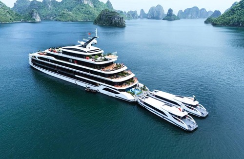 Ha Long Boat Rental | Celina of The Sea Cruise