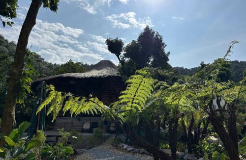 Soc Son Cabin | Chậm Viên Le Jardin