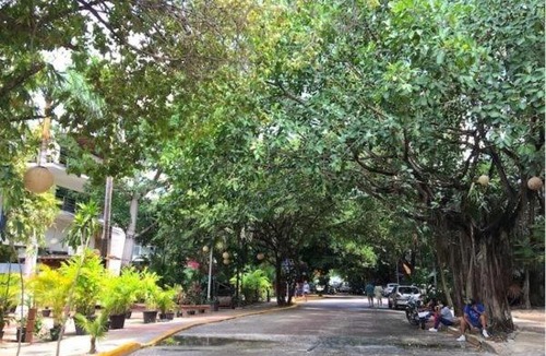 Gonzalo Guerrero Apartment | Charming 1 BR apartment near 5th Ave - LCondos 202