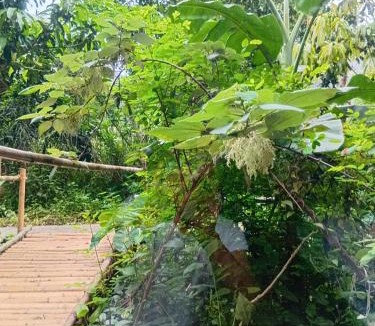 Hoa Lu Cabin | Chezbeo Bungalow Ninh Binh
