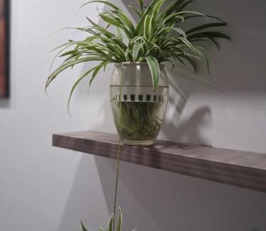 Hoai Duc House | Chung cư mini Ánh Dương xã Vân Canh Hoài Đức