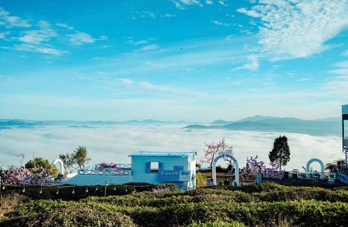 Da Lat Other | Cloud View Glamping Da Lat & Cloud 9 Săn Mây Cầu Đất