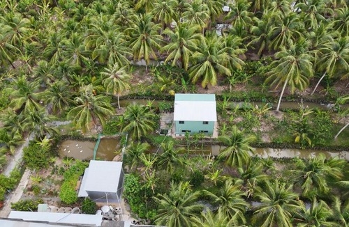 Giong Trom House | Coco Happy Farm