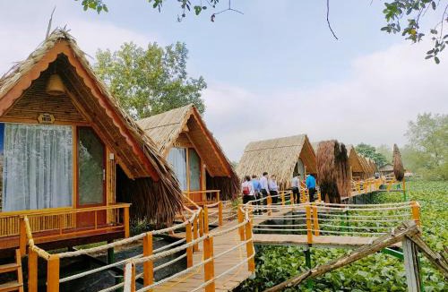 Chau Thanh Hotel | Coco Island Cồn Phụng
