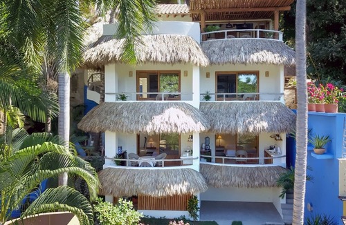 North End Apartment | "Cola de Zorro" (Fox Tail) 1 Bed/1Bath