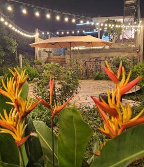 Pleiku House | Cola House