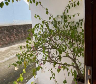 Yen Bai Apartment | Cozy Haven Nest - Sunlit Glass House & Garden View