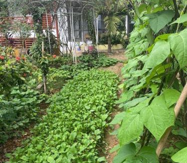 Yen Bai Apartment | Cozy Haven Nest - Sunlit Glass House & Garden View