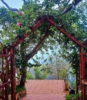 Da Lat Apartment | Cub Homestay- Đồi quạt gió