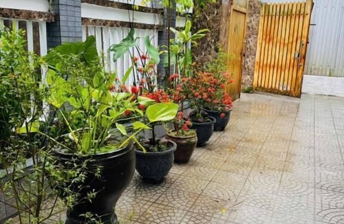 Hue Apartment | DAI NOI SAPHIA HOMESTAY