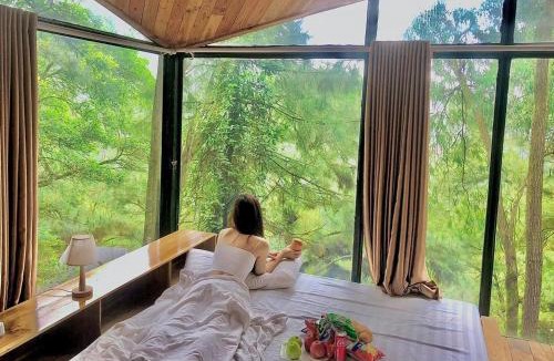 Soc Son Apartment | DeBay Retreat - Little Đà Lạt Chill Villa
