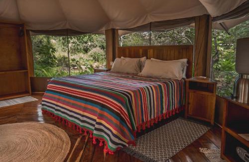 Tekit Hotel | Destino Mío Mayan Jungle Retreat