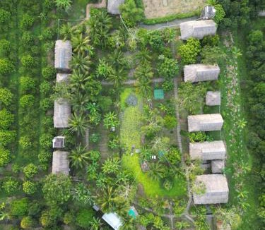 Phong Dien House | Discovery Mekong local's life - Breakfast TwoBoatTours Included for 2nights