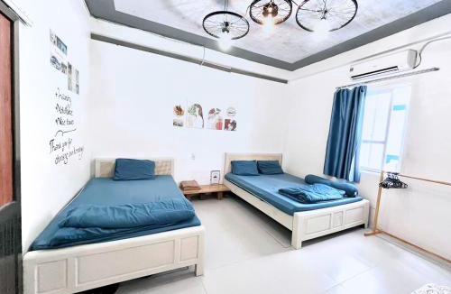 Cat Ba Hostel | Domik Homestay - Cát Bà
