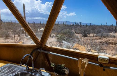 La Paz Other | Domo - Cactus Lodge Baja