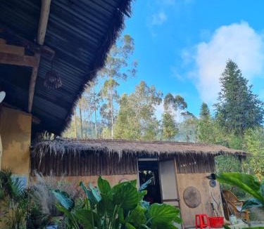 Dong Van House | Dong van hmong homestay