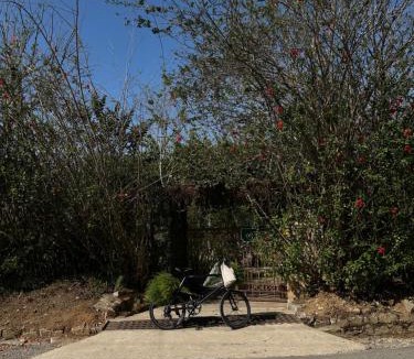 Phuong Cabin | Dreamer Cabin Tre house Dalat