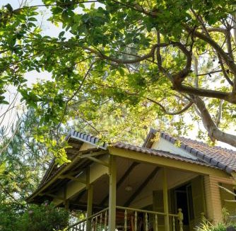 Lac Duong Apartment | Dreaming Village Da Lat