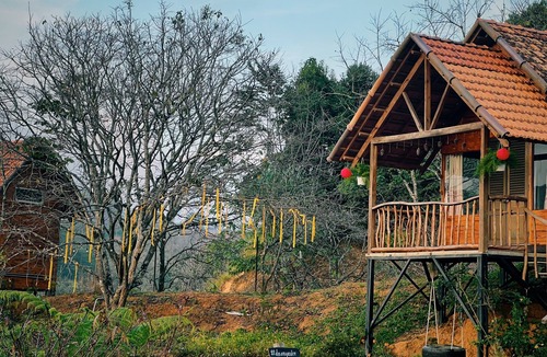 Don Duong Cabin | Du An Garden Retreat Forest