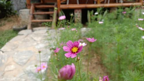 Yen Minh House | Du Gia Wooden Homestay