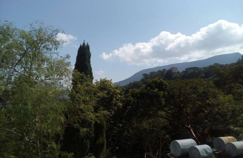 Pluma Hidalgo Hotel | Eco Hotel El Refugio, In the mountains but close to the sea. - ROOM 19