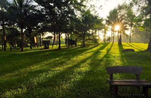 Van Giang Apartment | Ecopark Lushy Stay - Sunny Color