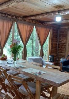 Acaxochitlan Apartment | ecoturístico montaña viviente , CABAÑA CHALCHOAPAN