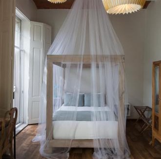 Cuauhtemoc Bed & Breakfast | El Patio 77 B&B